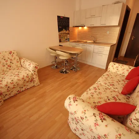 1 Bedroom In Sunny Day 6 * Tunkovo